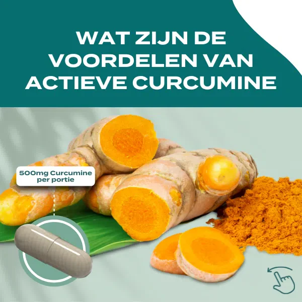 Actieve Curcumine - Image 3