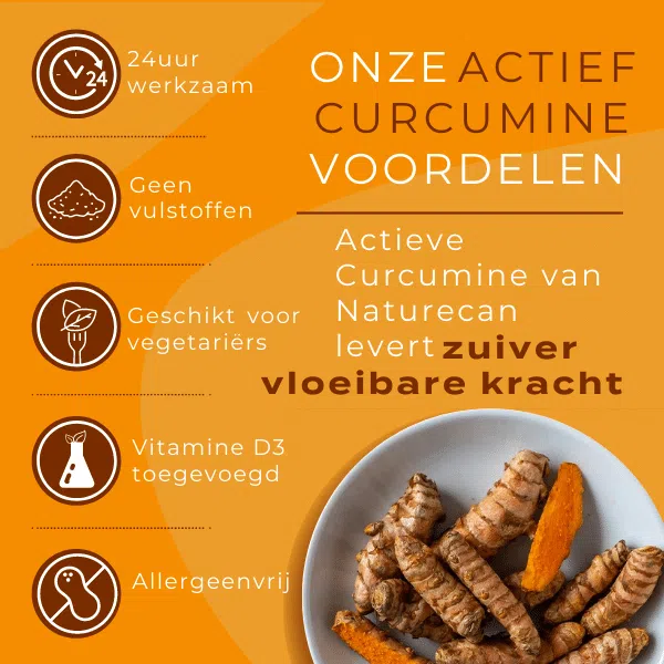 Actieve Curcumine - Image 7
