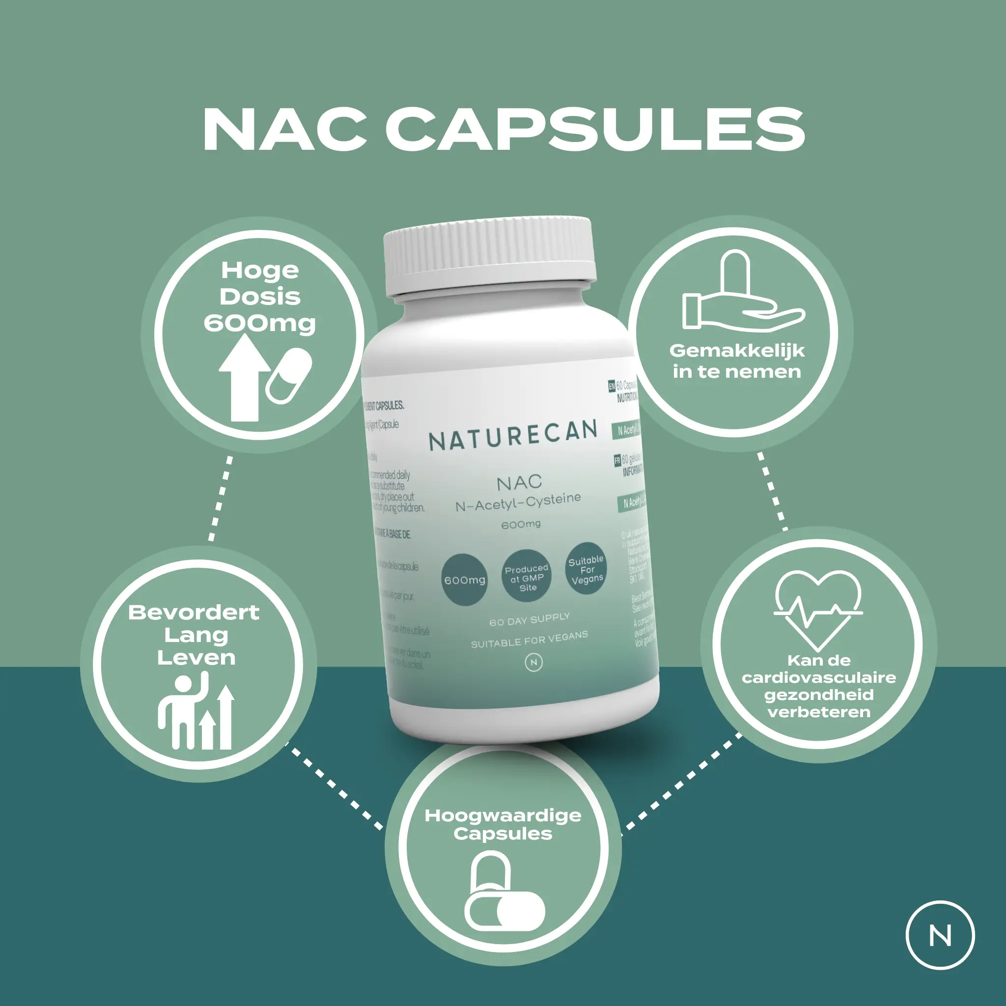 NAC Supplement - Image 4