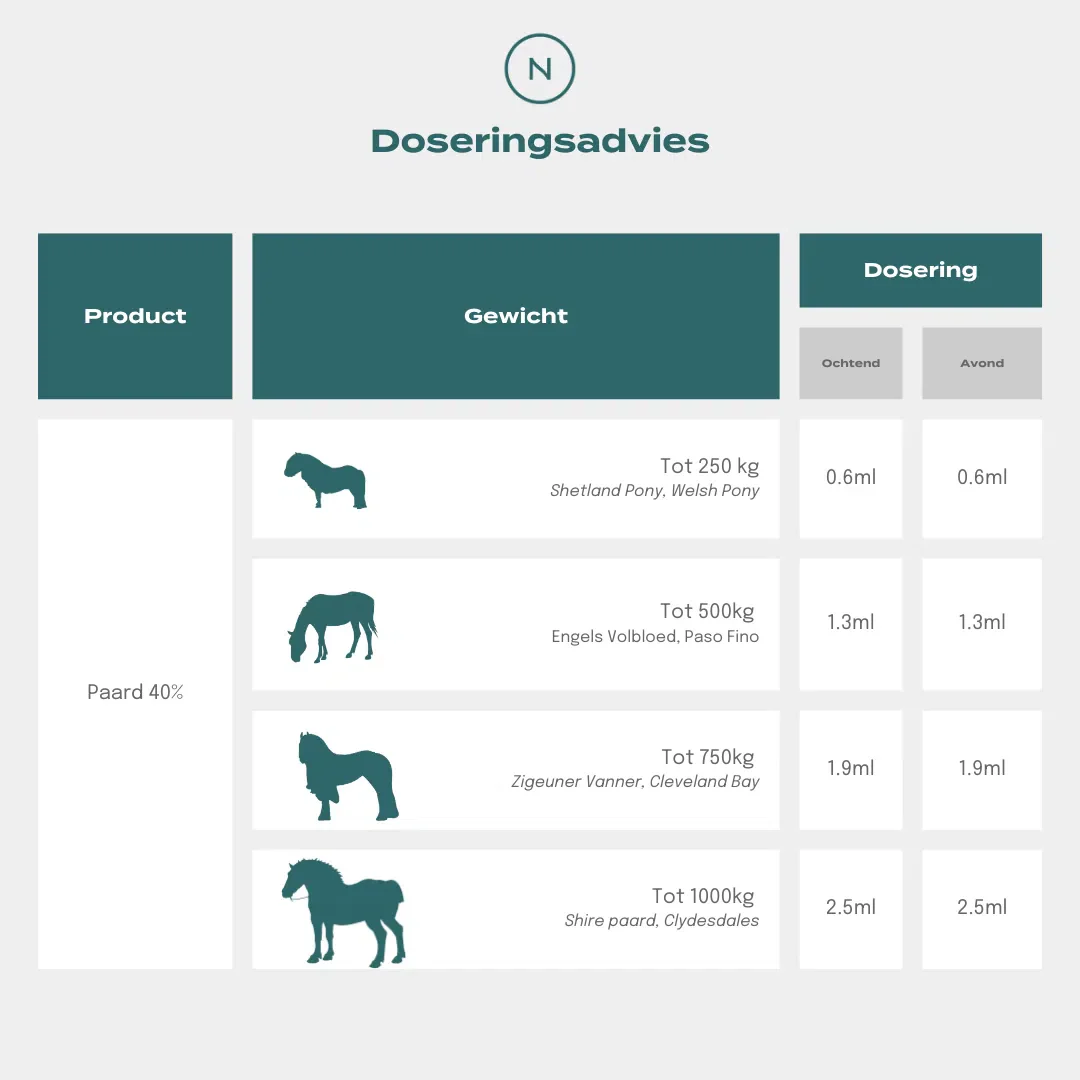 CBD Olie voor paarden - Image 4
