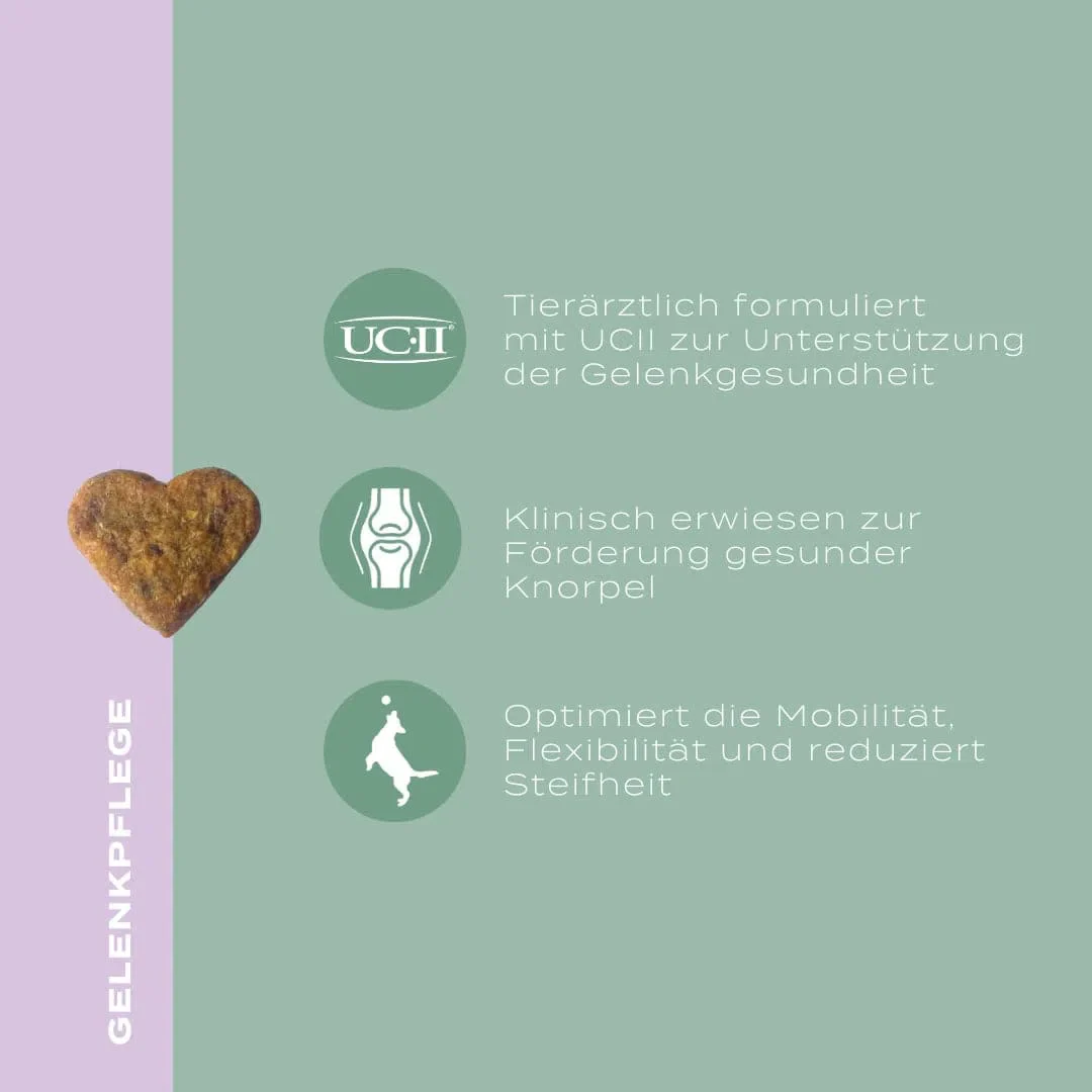 CBD Olie voor Honden Gewrichtsbundel - Image 4