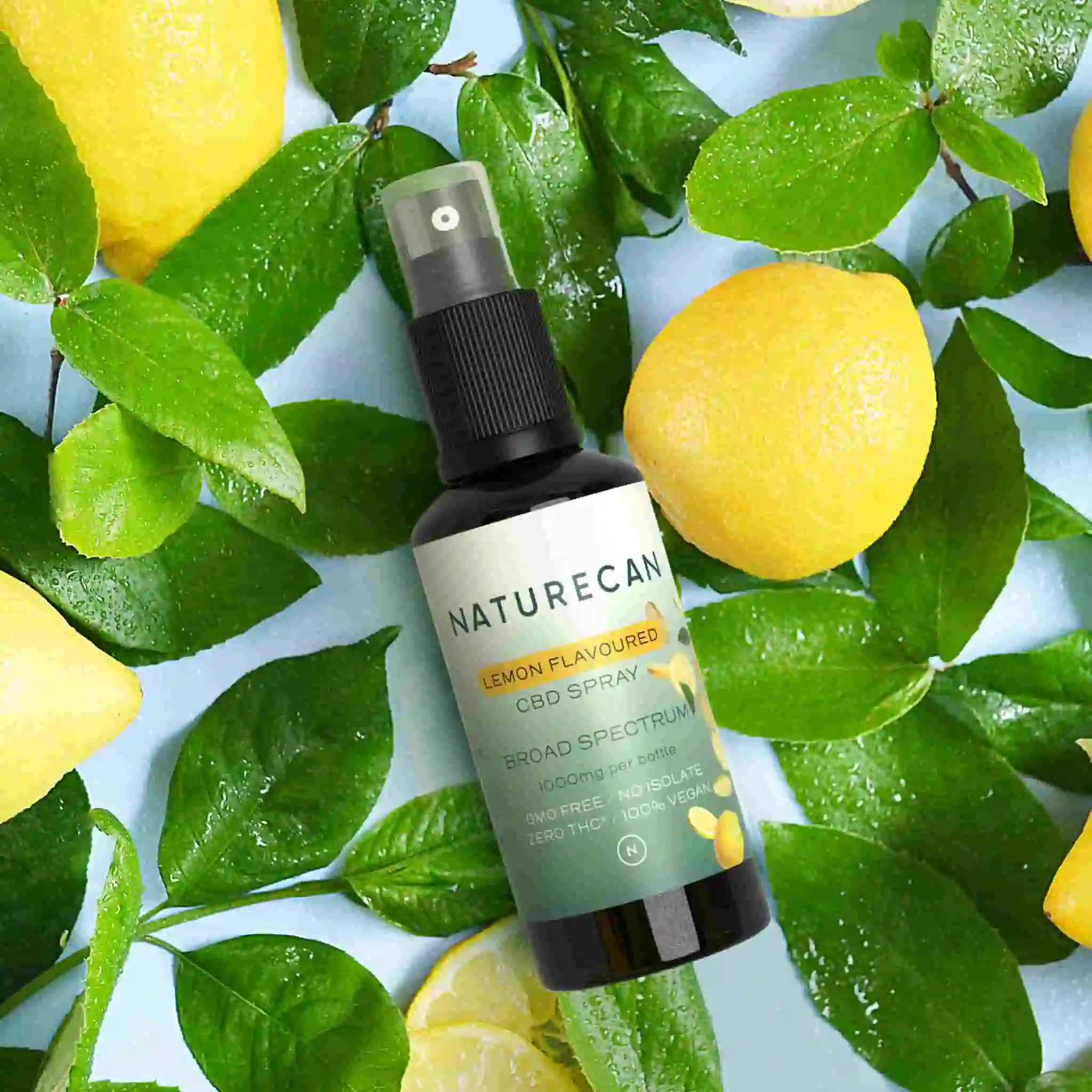 Naturecan CBD Spray - Image 2
