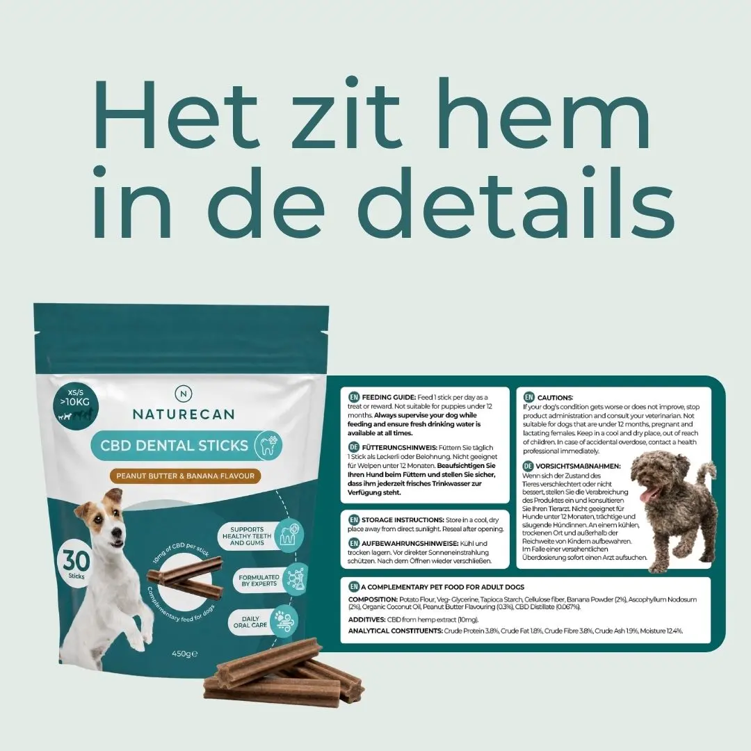 CBD-tandstokjes voor honden - Image 4
