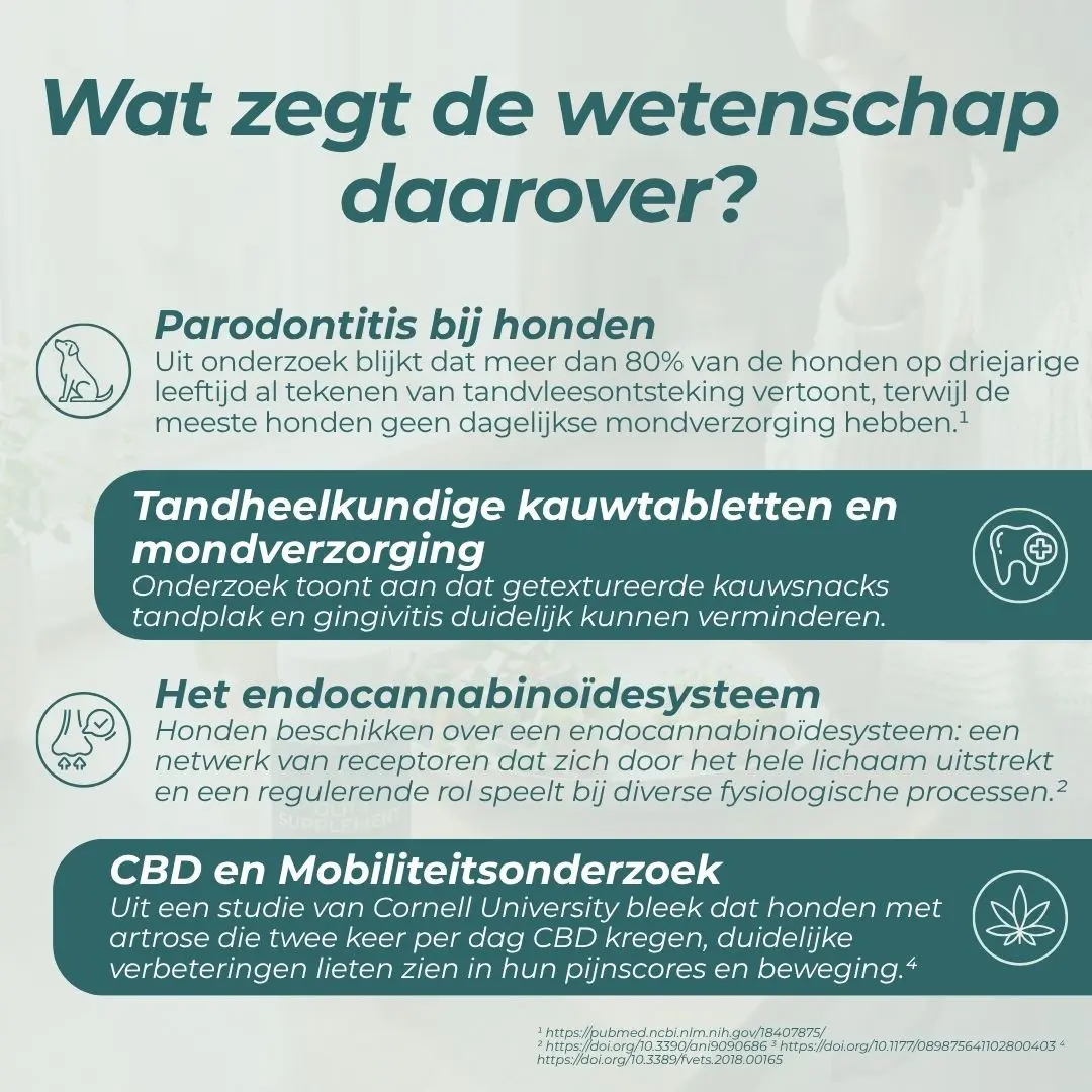 CBD-tandstokjes voor honden - Image 5