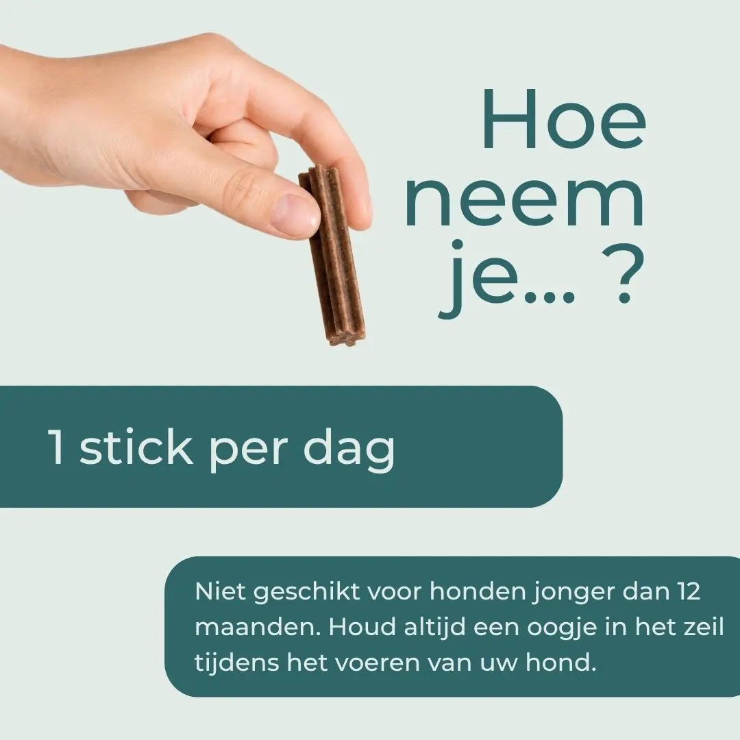 CBD-tandstokjes voor honden - Image 6