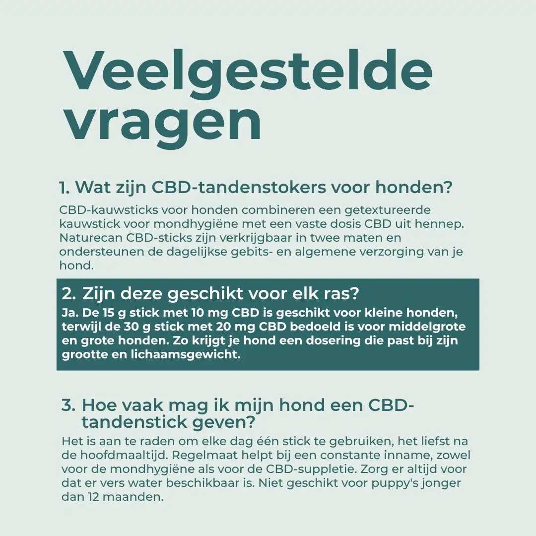 CBD-tandstokjes voor honden - Image 8