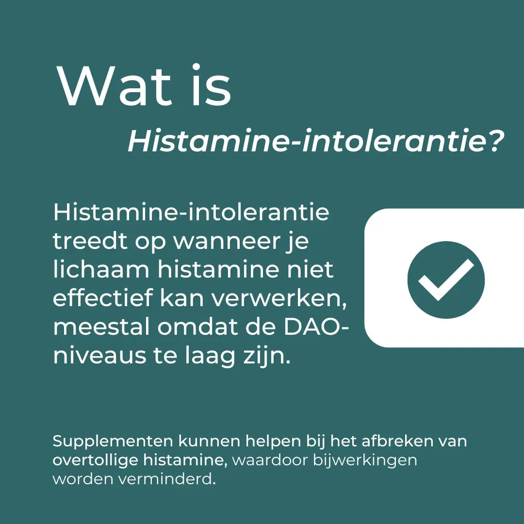 DAO Supplement - Image 3