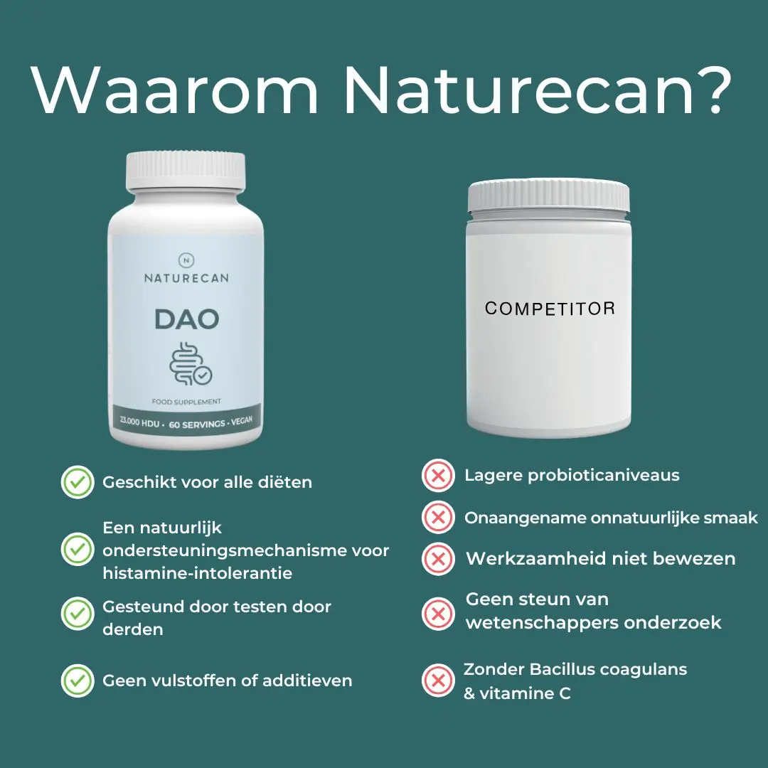DAO Supplement - Image 4