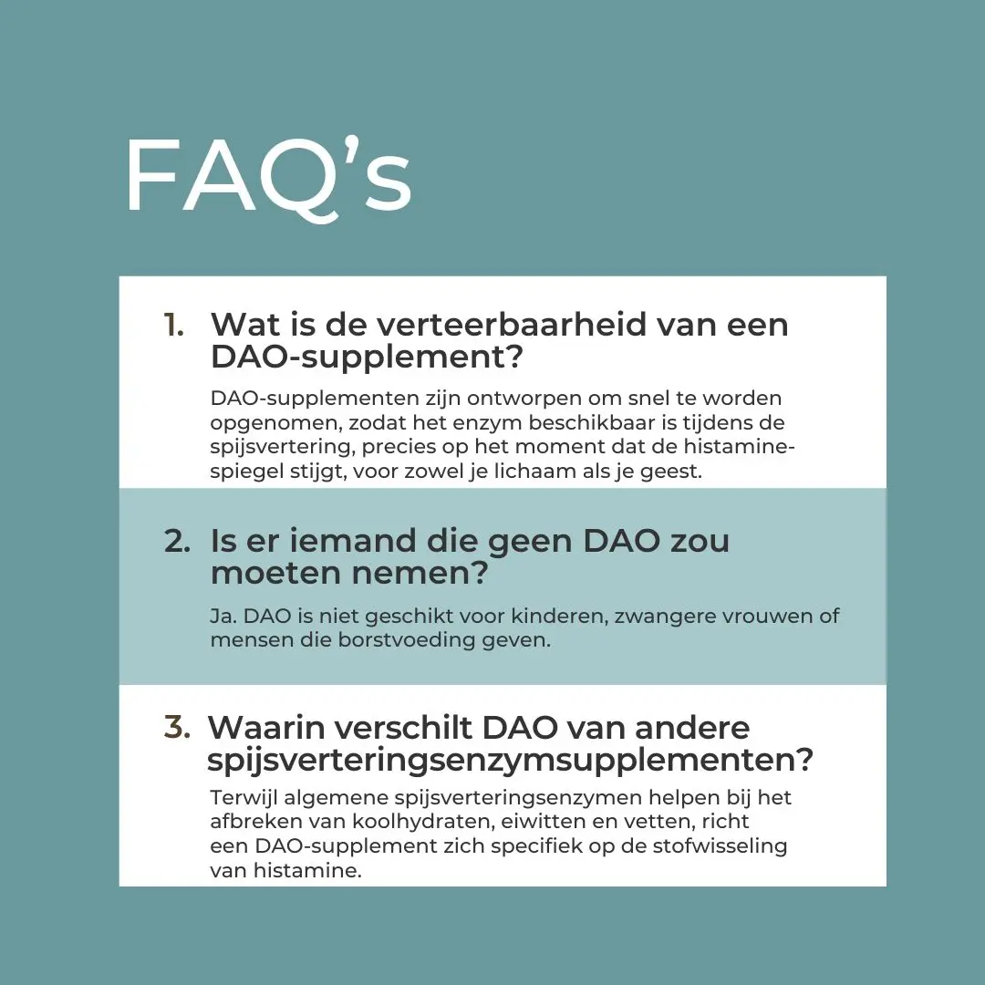 DAO Supplement - Image 5