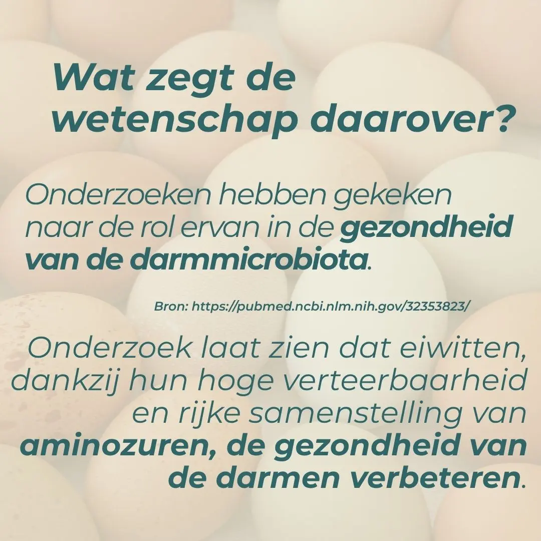 Egg Protein - Image 5