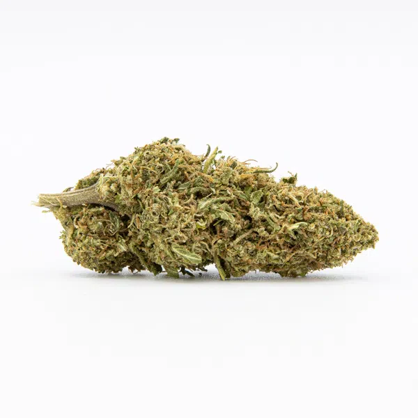 Gelato CBD Bloem - Image 2