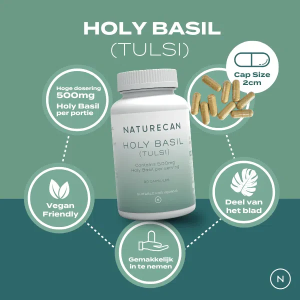 Holy Basil Capsules - Tulsi Extract - Image 5