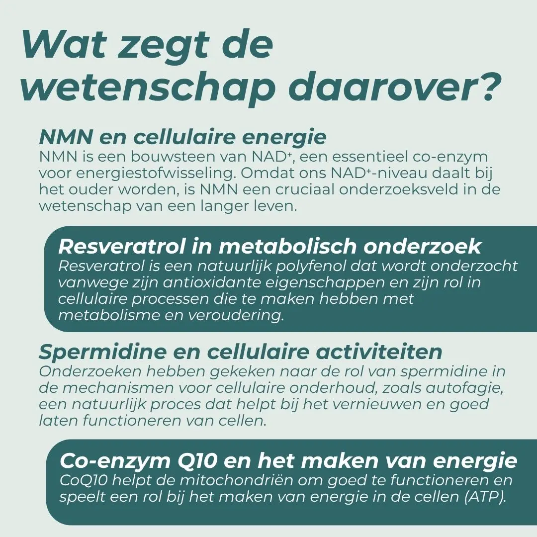 Levensduur Mix - Image 13