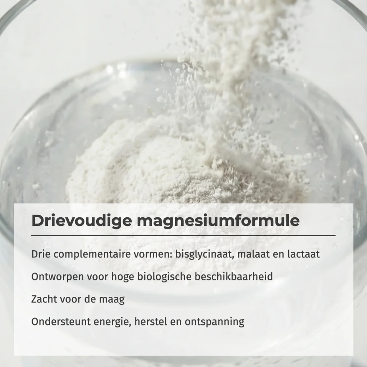 Magnesium Bisglycinaat 3:1 - Image 3