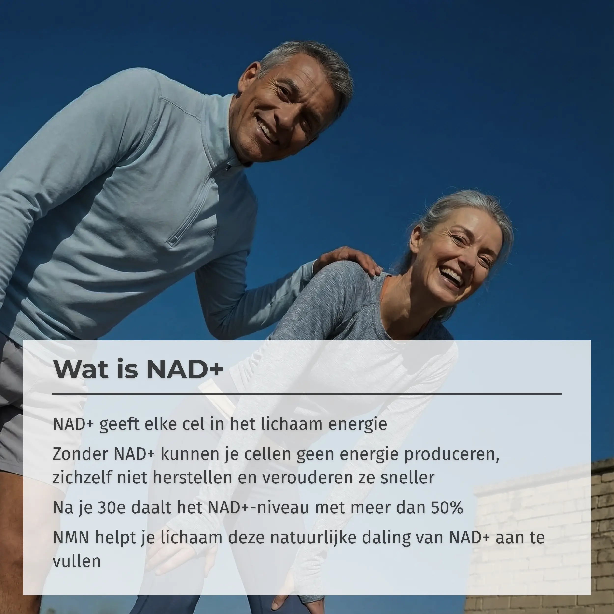NMN Supplement - Image 2