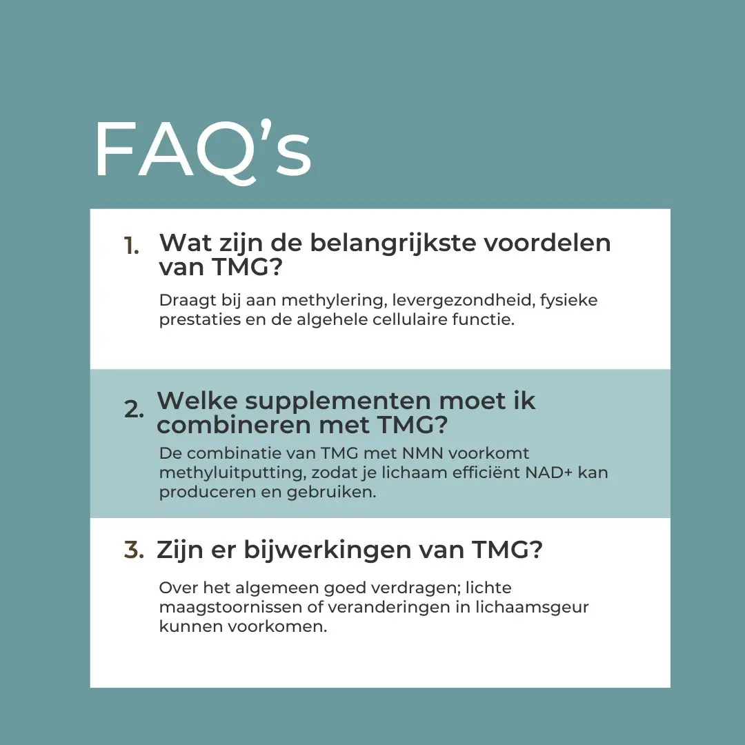 TMG Supplement - Image 10
