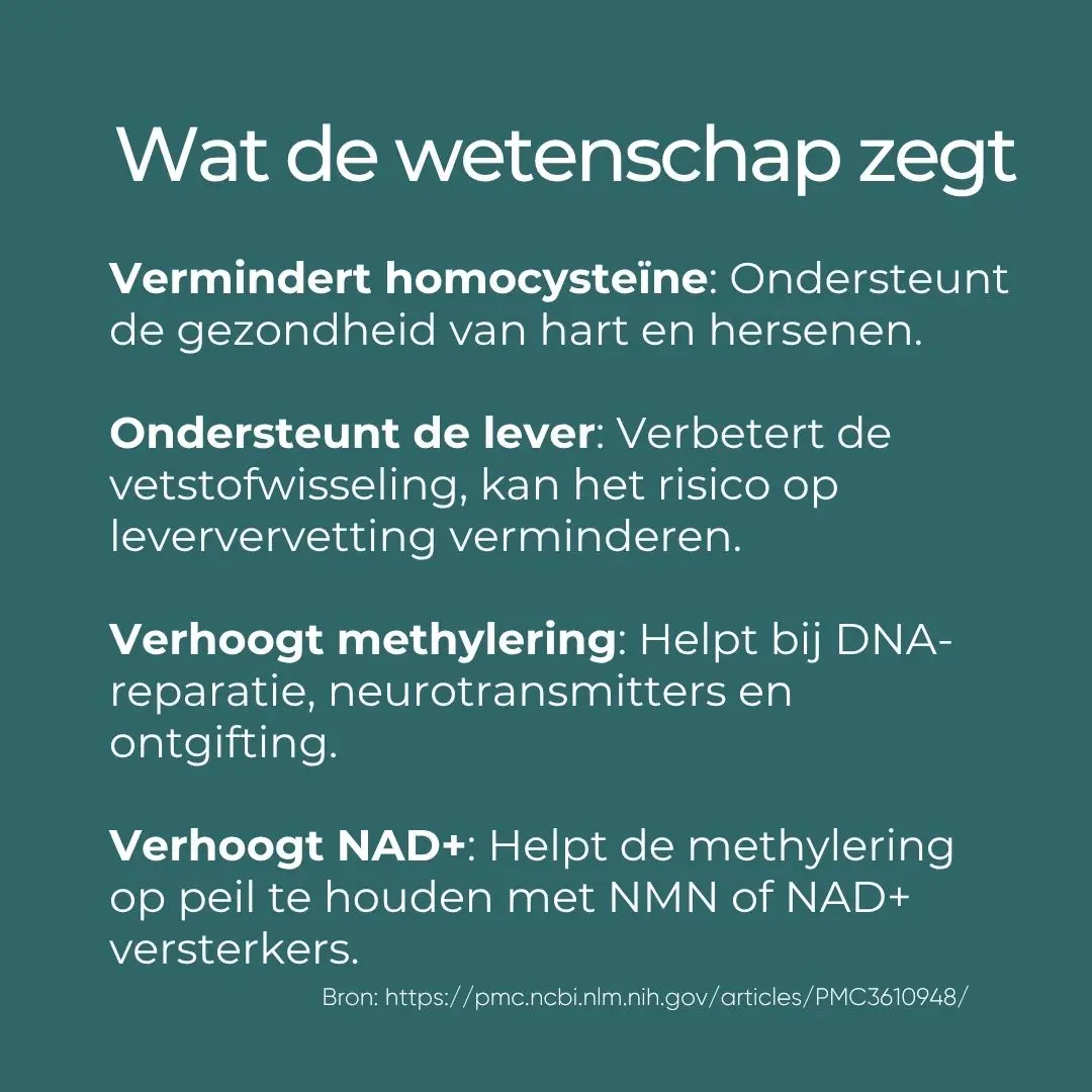 TMG Supplement - Image 6