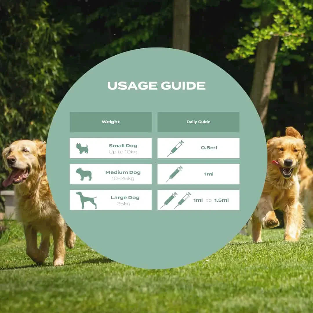 UC-II® Gewrichtsverzorging voor Honden - Image 3