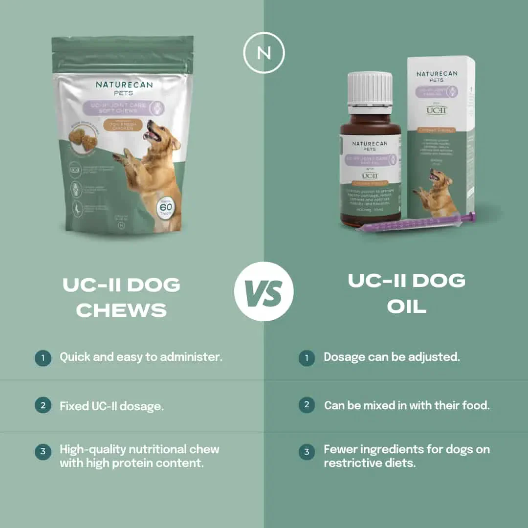 UC-II® Gewrichtsverzorging voor Honden - Image 5