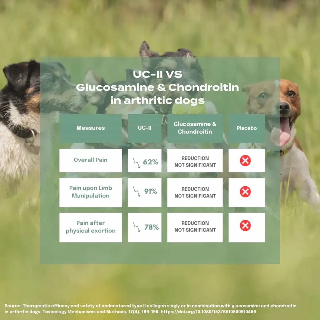 UC-II® Gewrichtsverzorging voor Honden - Image 6
