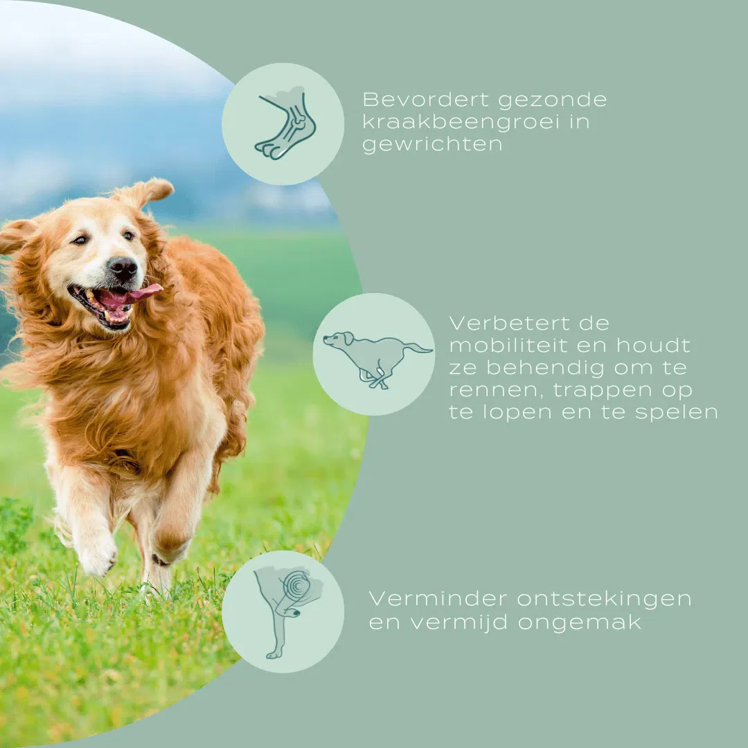 UC-II® Gewrichtssnoepjes voor Honden - Image 10