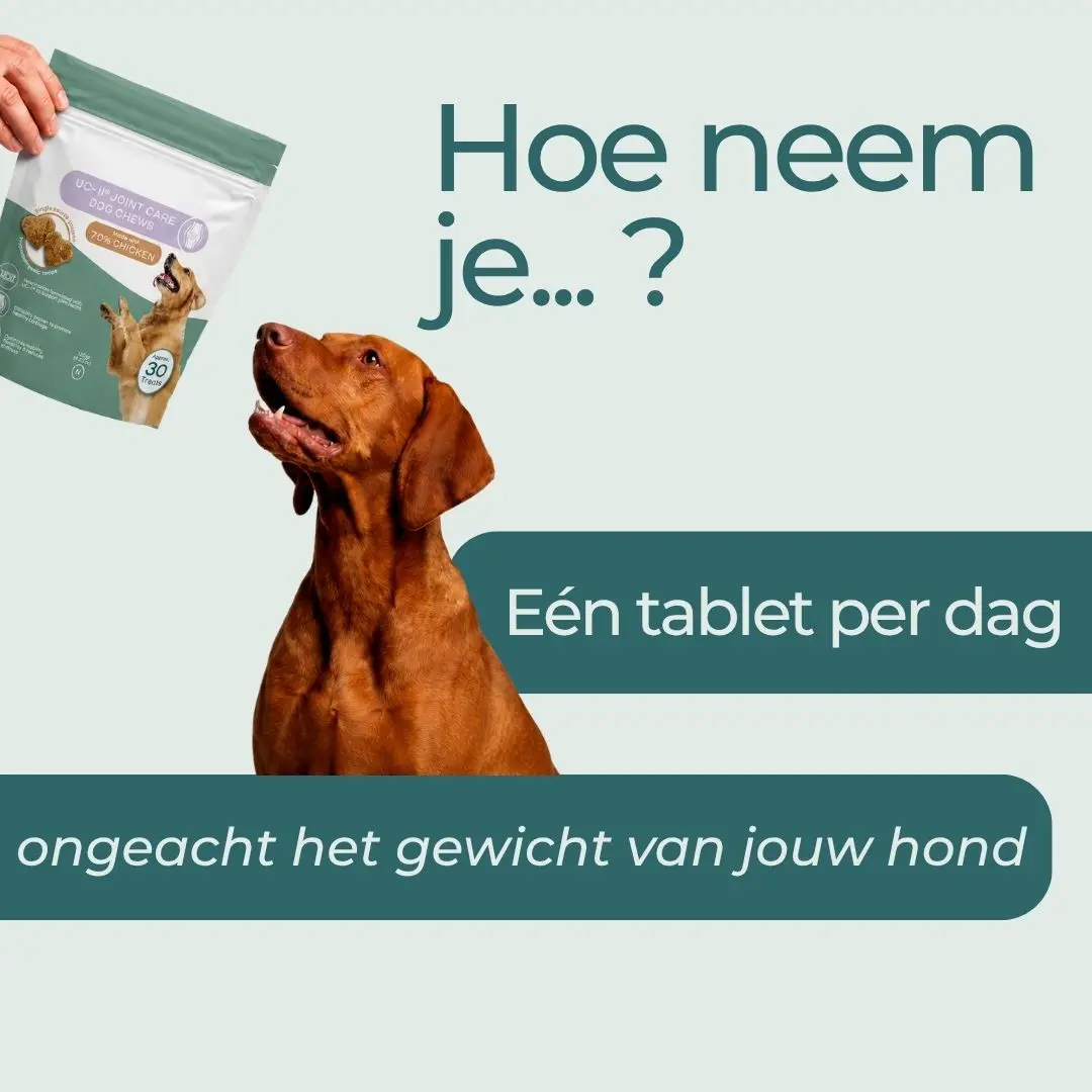 UC-II® Gewrichtssnoepjes voor Honden - Image 6