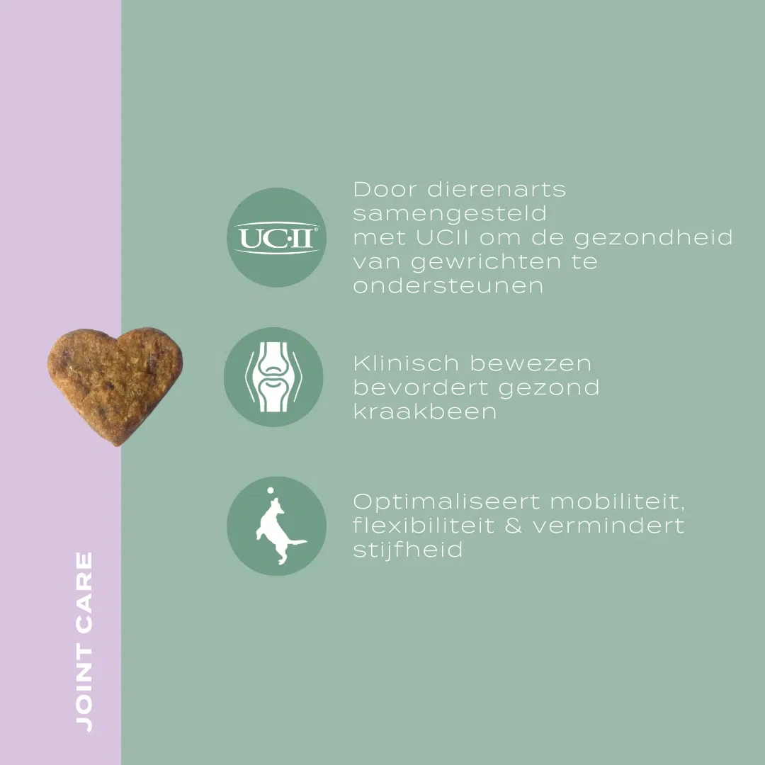 UC-II® Gewrichtssnoepjes voor Honden - Image 7