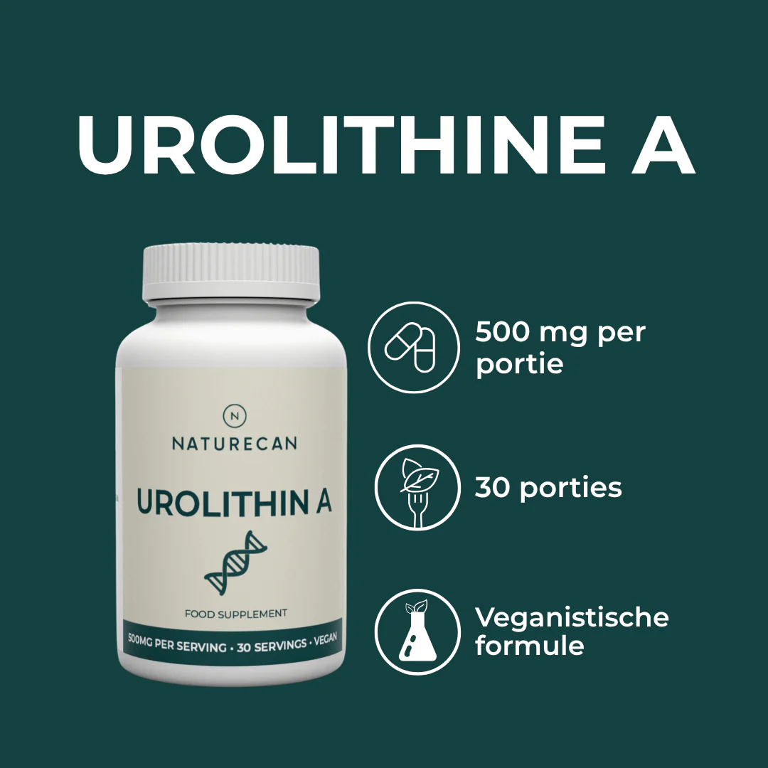 Urolithin A - Image 3