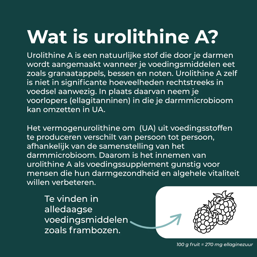 Urolithin A - Image 5