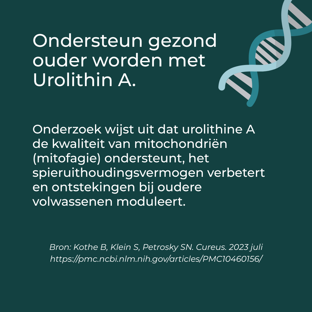 Urolithin A - Image 6
